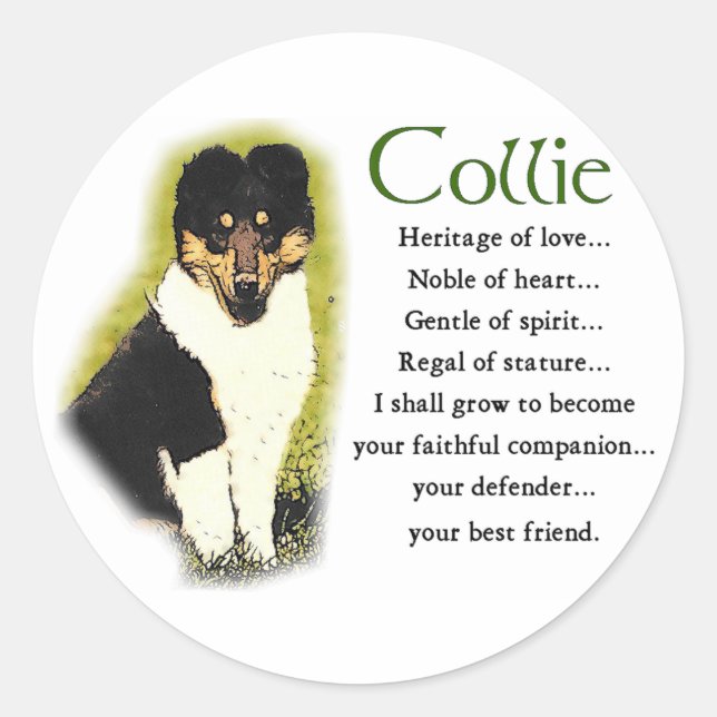 Sticker Rond Tri Color Rough Collie Toxits (Devant)