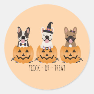Sticker Rond Trick Ou Treat French Buldogs Citrouille