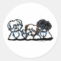 Trio Coton De Tulear