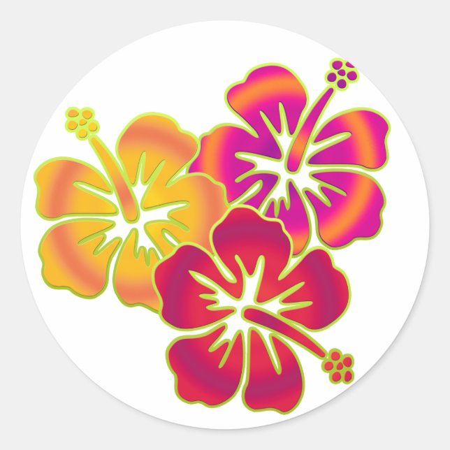 Sticker Rond trio hibiscus (Devant)