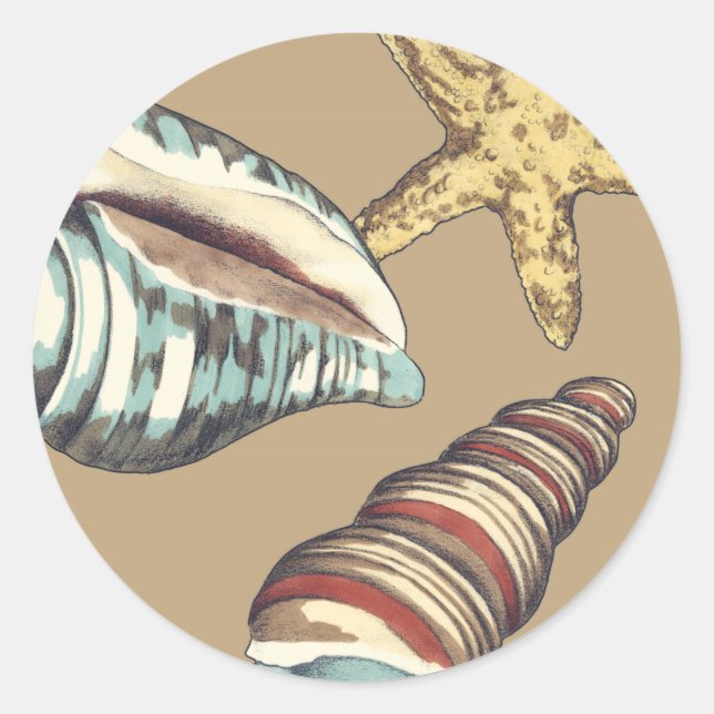 Sticker Rond Trio Shell sur Khaki (Devant)