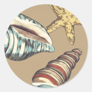 Sticker Rond Trio Shell sur Khaki