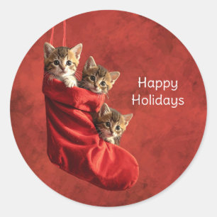 Sticker Rond Trois chatons dans une chaussette de Noël Autocoll