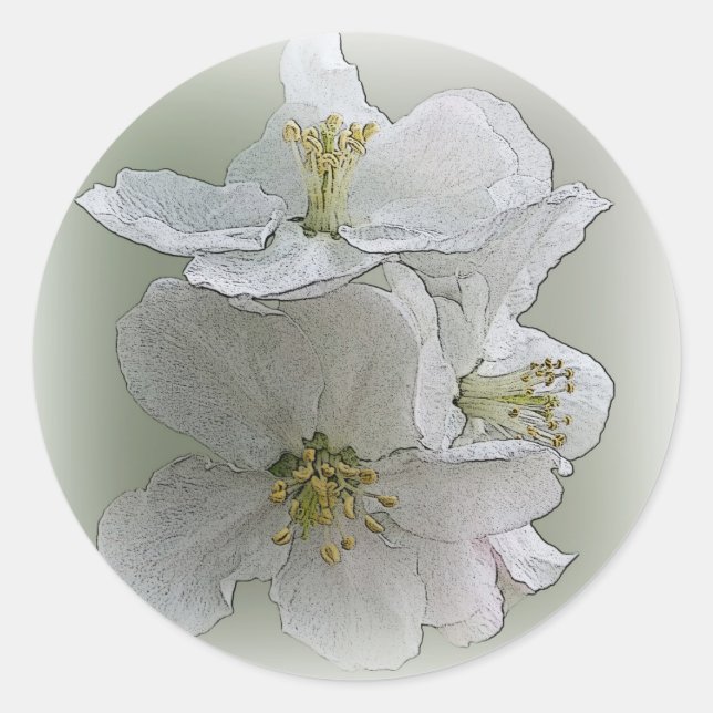 Sticker Rond trois fleurs blanches (Devant)