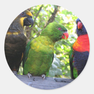 Sticker Rond Trois Lorikees