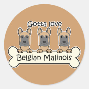 Sticker Rond Trois Malinois belges