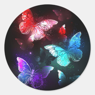 Sticker Rond Trois papillons lumineux sur fond de nuit
