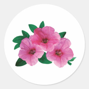 Sticker Rond Trois pétunias roses