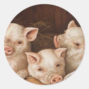 Sticker Rond Trois piglets cuts from The Prize Piggies