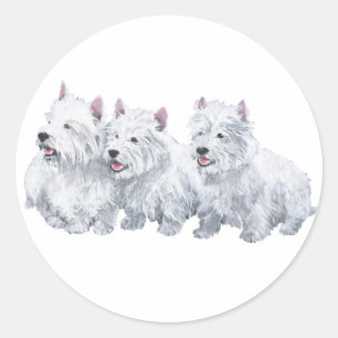 Sticker Rond Trois terriers West Highland White