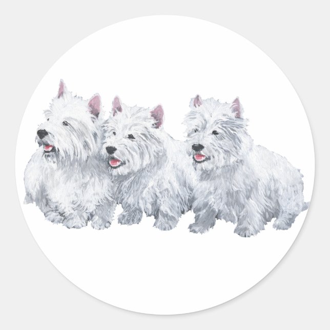 Sticker Rond Trois terriers West Highland White (Devant)