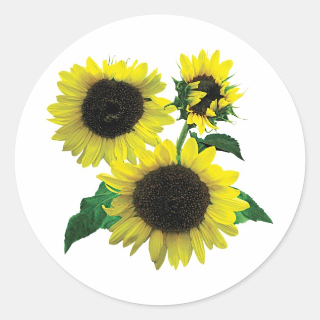 Sticker Rond Trois tournfleurs (Devant)