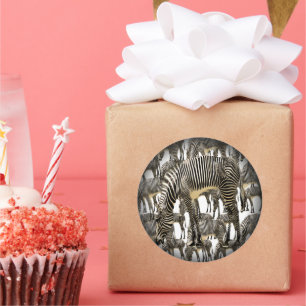 Sticker Rond Troupeaux de zèbres