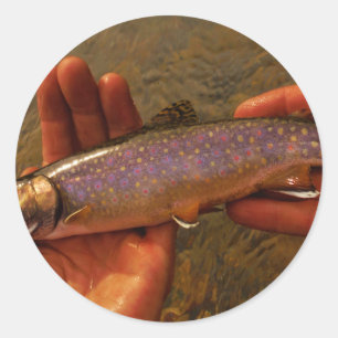 Sticker Rond Trout à Hands