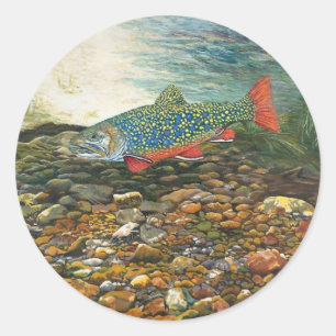 Sticker Rond Truite de ruisseau