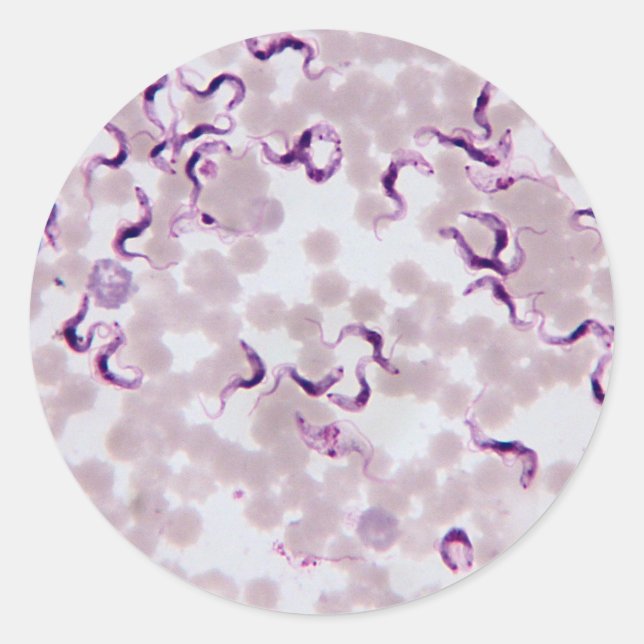 Sticker Rond Trypanosoma parasite sanguine (Devant)