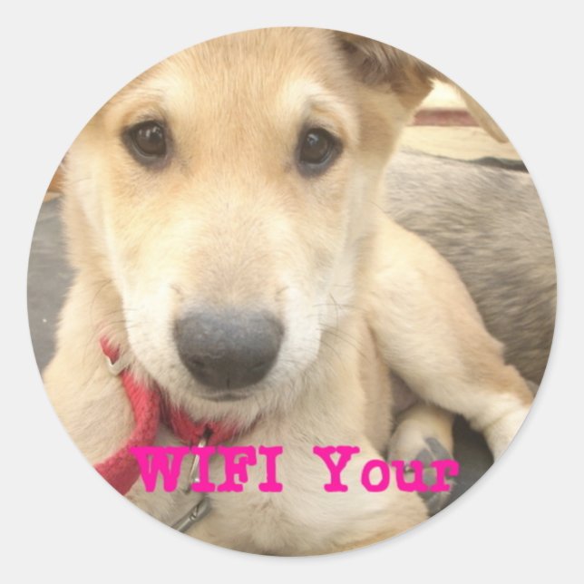 Sticker Rond Tu Devrais WIFI Ton Amour Tous Les Jours (Devant)