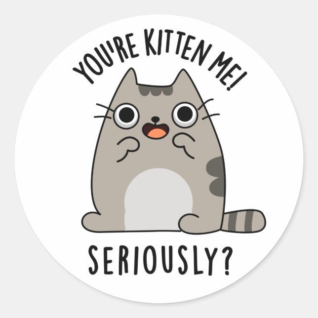 Sticker Rond Tu es Kitten Me Sérieusement Drôle Pun de chat (Devant)
