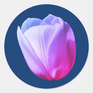 Sticker Rond Tulipe blanche teintée