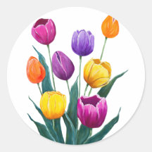 Tulipes colorées