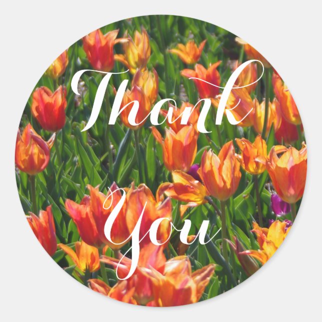 Sticker Rond Tulipes orange (Devant)