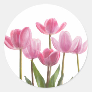 Sticker Rond Tulipes roses