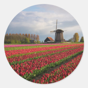 Sticker Rond Tulipes rouges et moulin à vent