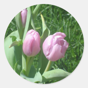 Sticker Rond Tulips roses chevalets