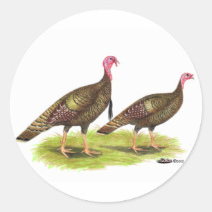 Sticker Rond Turquie : Bronze sauvage