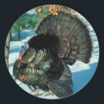 Sticker Rond Turquie sauvage Photo Thanksgiving Christmas Holid<br><div class="desc">Turquie sauvage Photo Thanksgiving Noël Noël Noël Noël Noël Noël Noël Noël Noël</div>