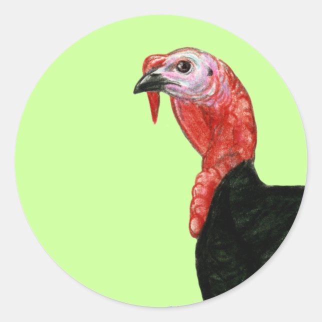 Sticker Rond Turquie : Tête noire de Tom (Devant)