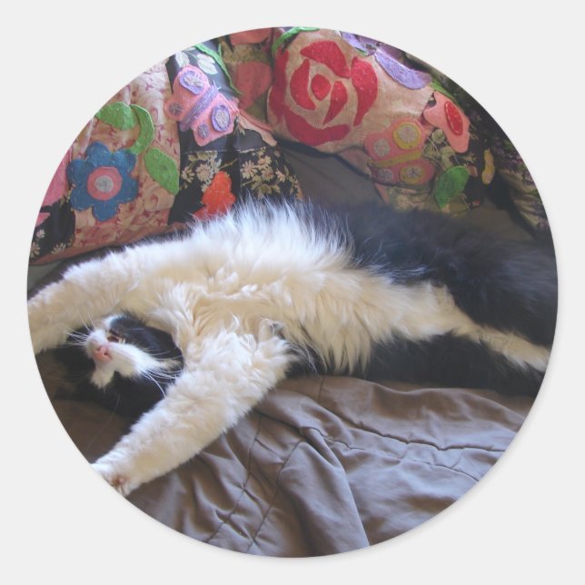 Sticker Rond Tuxedo Cat Cute doing a Mexican Wave Postcard (Devant)