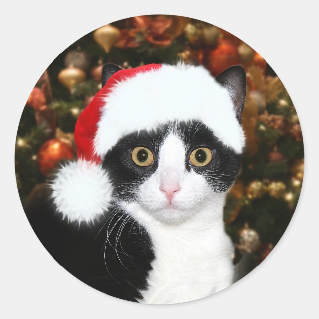 Sticker Rond Tuxedo chaton Noël (Devant)