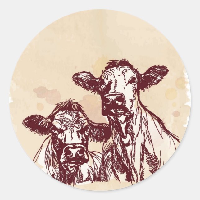 Sticker Rond Two cows hand draw sketch & watercolor vintage (Devant)