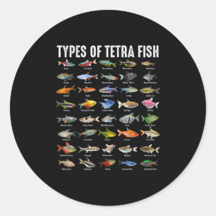 Sticker Rond Types de poissons Tetra - Espèces de poissons d'aq