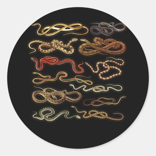 Sticker Rond Types De Serpents Herpétologiste Reptiles Éducatif (Devant)