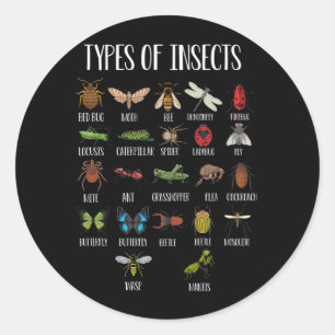 Sticker Rond Types d'insects Bug Identification