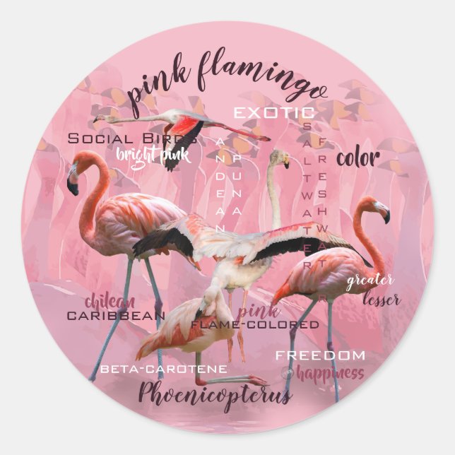 Sticker Rond Typographe rose Flamingo | Customized (Devant)