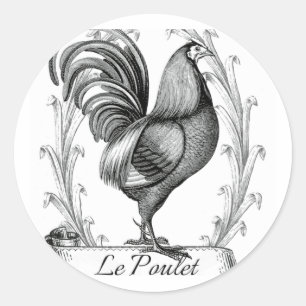 Sticker Rond typographie vintage de la conception du poulet