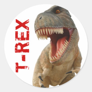 Sticker Rond Tyrannosaurus Rex