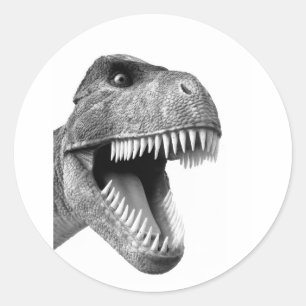 Sticker Rond Tyrannosaurus Rex