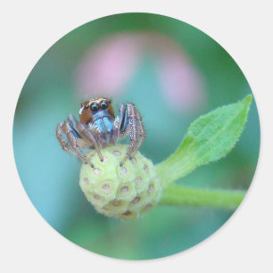 Sticker Rond Un ami pour Jumping Jack !