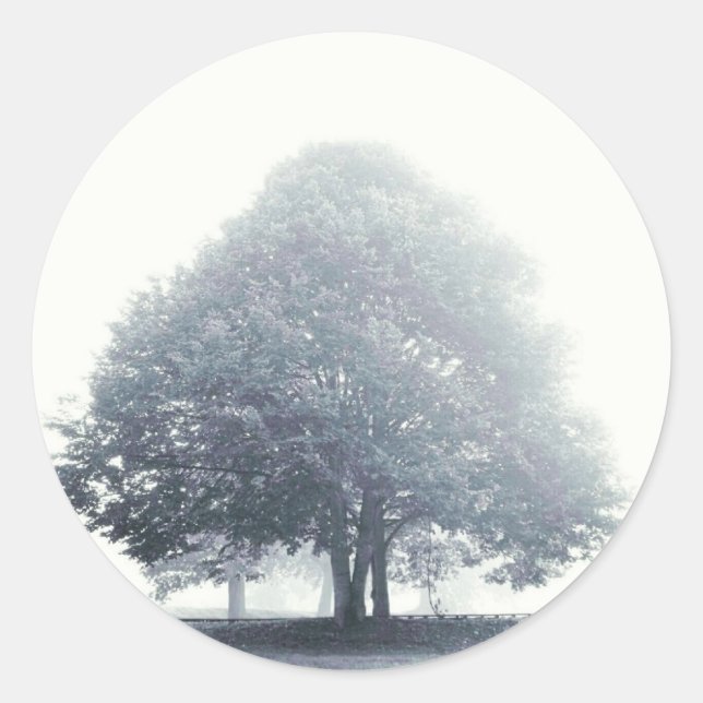 Sticker Rond Un arbre dans le brouillard (Devant)