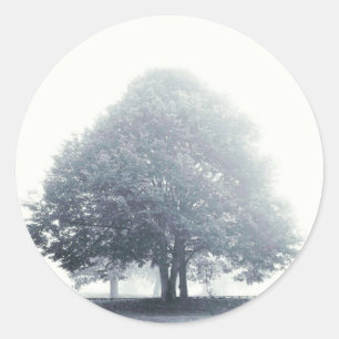 Sticker Rond Un arbre dans le brouillard