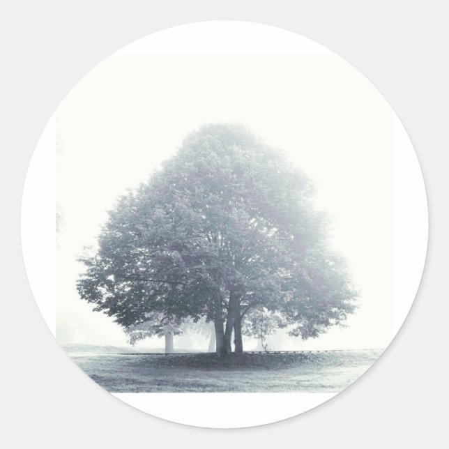 Sticker Rond Un arbre dans le brouillard (Devant)