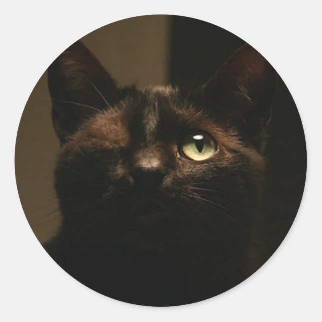 Sticker Rond Un chat aux yeux - Tom Sawyer (Devant)
