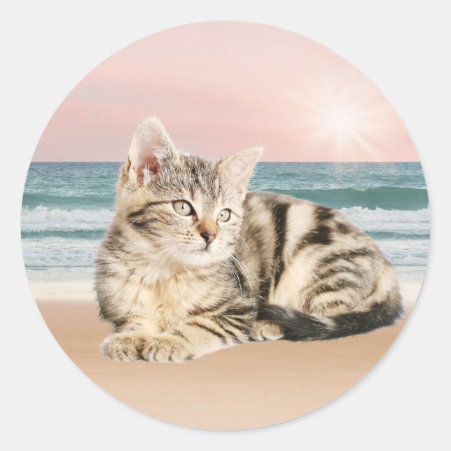 Sticker Rond Un chat rayé plus mignon assis sur la plage au cou (Devant)