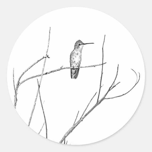 Sticker Rond Un colibri sur un bâton (Devant)