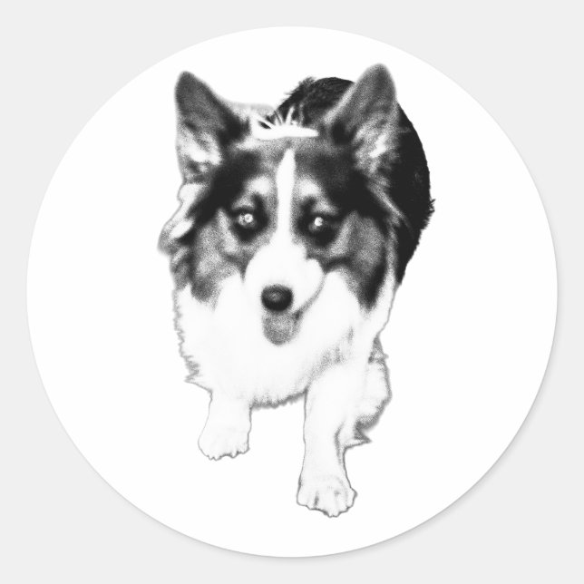 Sticker Rond Un corgi flou capturé en stride devient coma (Devant)