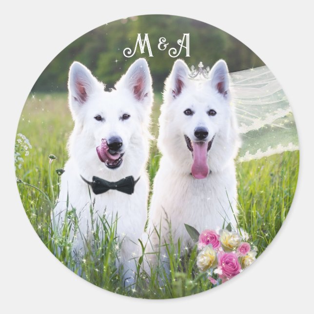 Sticker Rond Un couple romantique de chiens qui se marient (Devant)